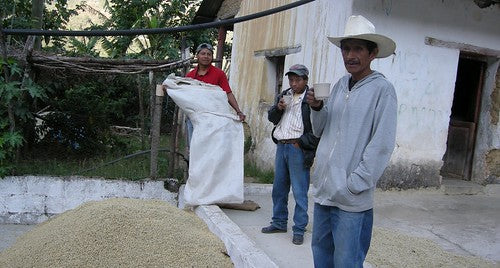 Direct Trade Coffee Break