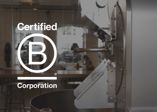 Taking the Next Step | Becoming B Corp Certified
