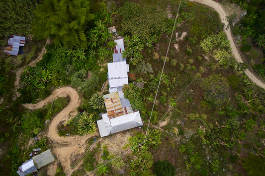 A Farm in True Focus With Nature | Nolberto