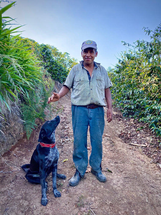 A Bolivian coffee mecca | Los Rodriguez & Buena Vista