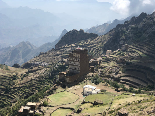 Yemen coffee | Al-Enab