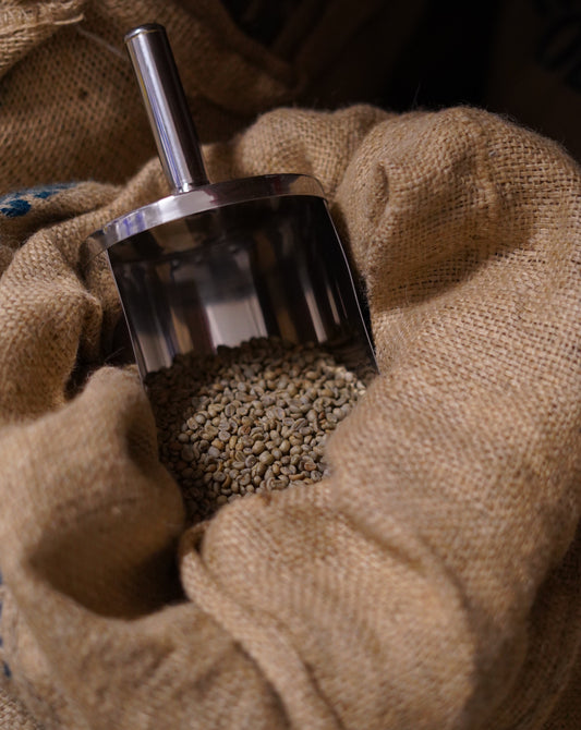 From the first crack to finish | Perfecting the Kieni roast profile