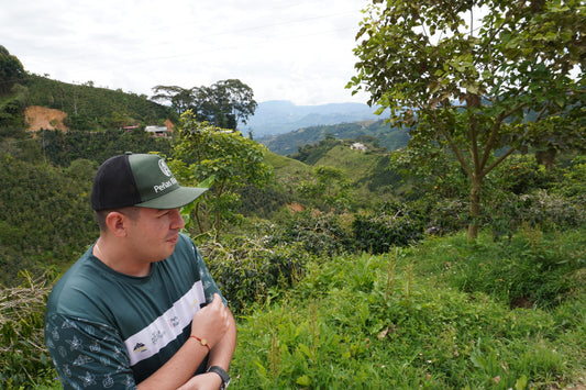 Jhoan Java: next level fermentation and drying