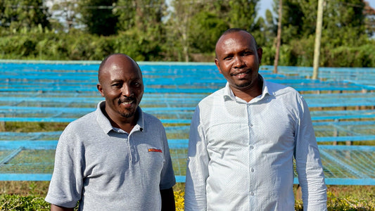 How much is the farmer paid | Gichathaini