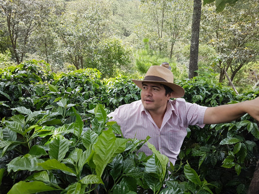 1. Advent | Greeting from Morales