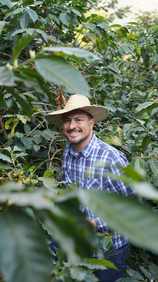 How much is the farmer paid | Vista Hermosa