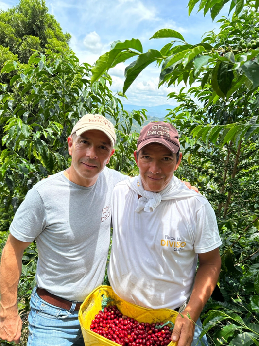 Two people standing among coffee trees with a bag of red coffee berries