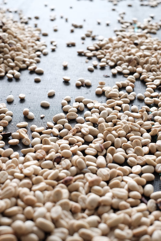 Close-up of roasted coffee beans on a dark surface