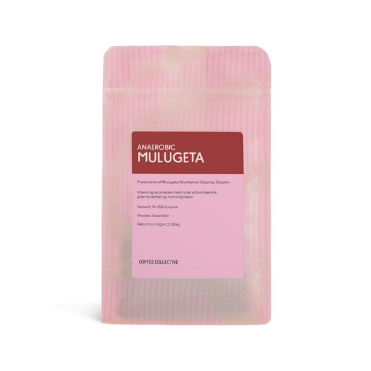 Mulugeta Anaerobic, 200g