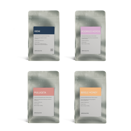Taster Pack